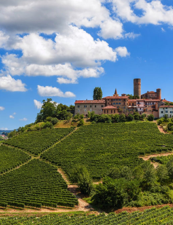 TOUR-ENOGASTRONOMICO-ITALIA[1]