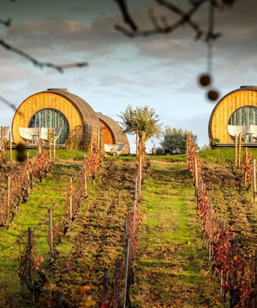 TOUR-ENOGASTRONOMICO-PORTUGAL[1]